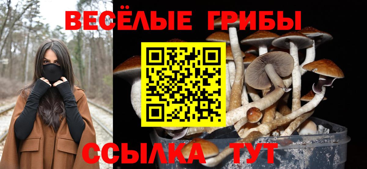 Белово  наркошоп  Вход с VPN  Галлюциногенные грибы Psilocybine cubensis 